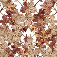 Harriet  Pattern - Autumn Colourway
