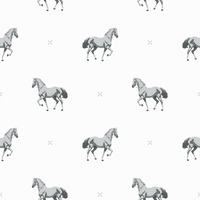 Beau  Pattern - Winter Colourway