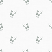 Darla  Pattern - Spring Colourway