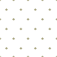 Duke  Pattern - Spring Colourway