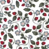 Elvira  Pattern - Winter Colourway