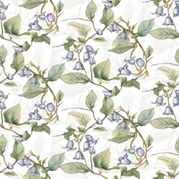 Eleanor  Pattern - Spring Colourway