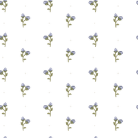 Isabella  Pattern - Spring Colourway