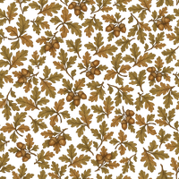 Ackley  Pattern - Summer Colourway