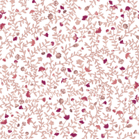 Elizabeth  Pattern - Summer Colourway