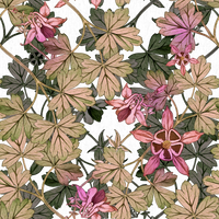 Harriet  Pattern - Summer Colourway