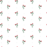Isabella  Pattern - Summer Colourway